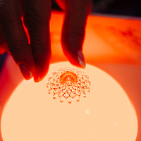 XI MOSCOW BREAST MEETING: Полный фотоотчёт